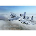 A-10C "Blacksnakes" 1/48