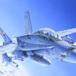 F/A-18 C/D Wild Weasel