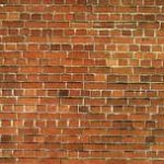 NOCH ΦΥΛΛΟ ΤΟΙΧΟΥ ΤΟΥΒΛΟ  32Χ15