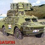 SA-9 Gaskin